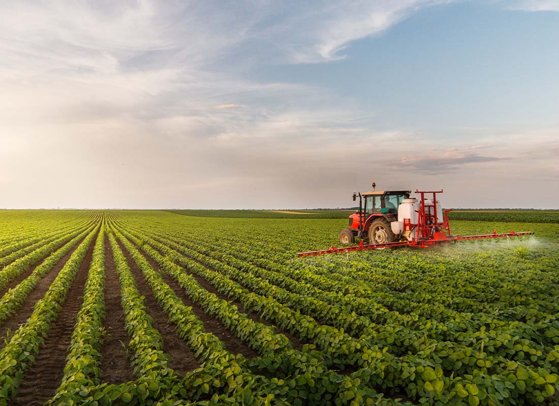 Crop Insurance - Large Commercial Farming Tractor Sprays Pesticides on a Soy Bean Field at Sunset